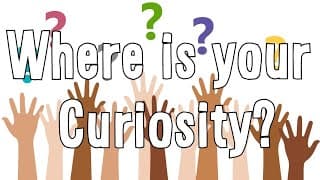Why Did We Stop Asking Questions?