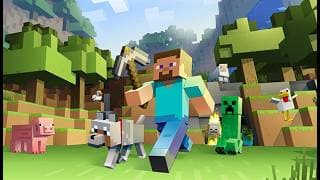Totally a normal minecraft video