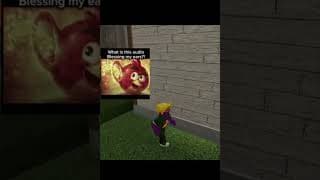 What is this holy music that's blessing my ears 😭#roblox #flamingo #larp #memes #funny #shorts