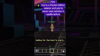 POV: You’ve never seen emoting in Minecraft before
