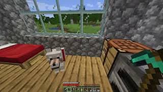 Minecraft, but it's raining dogs and cats...