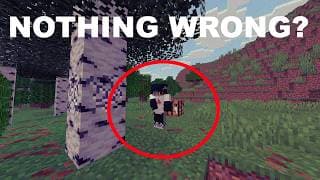 Minecraft, But There's Nothing Wrong...