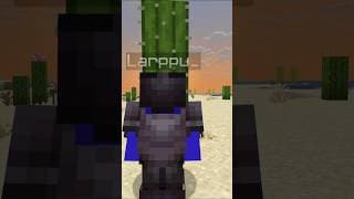 Larppu VS @rukyaamc