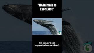 #bloopers #shorts 10 Animals to Ever Exist